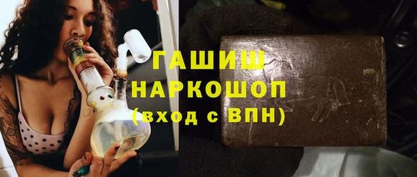 сатива Новодвинск
