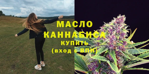 сатива Новодвинск