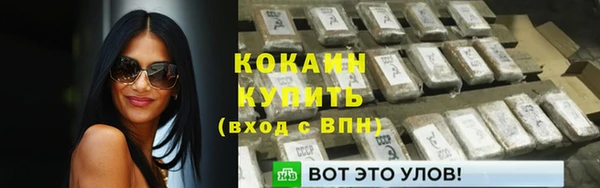 винт Осташков