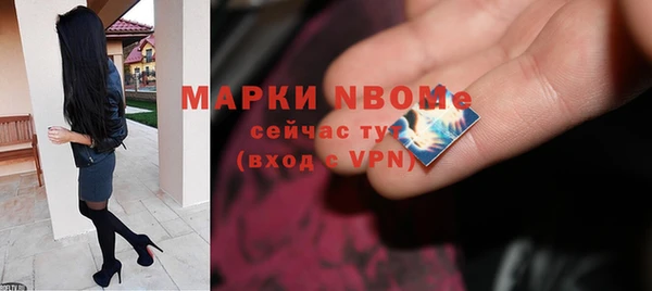 сатива Новодвинск