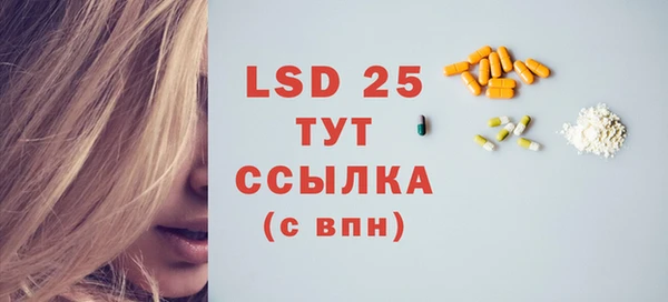 молекула духа Новозыбков