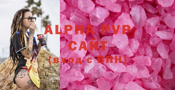 молекула духа Новозыбков