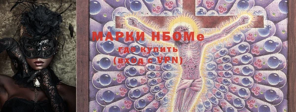молекула духа Новозыбков
