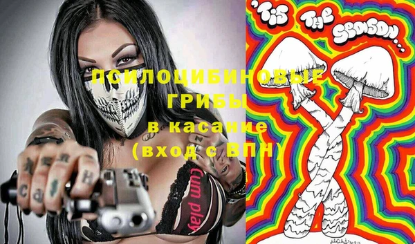 молекула духа Новозыбков
