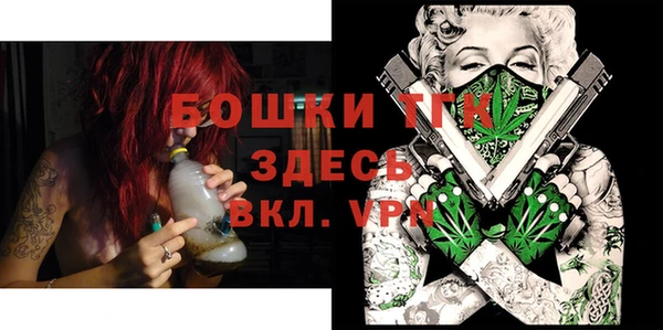 сатива Новодвинск