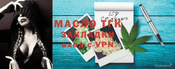 сатива Новодвинск