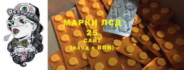 сатива Новодвинск