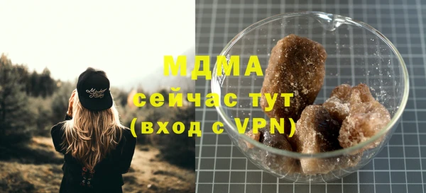 сатива Новодвинск