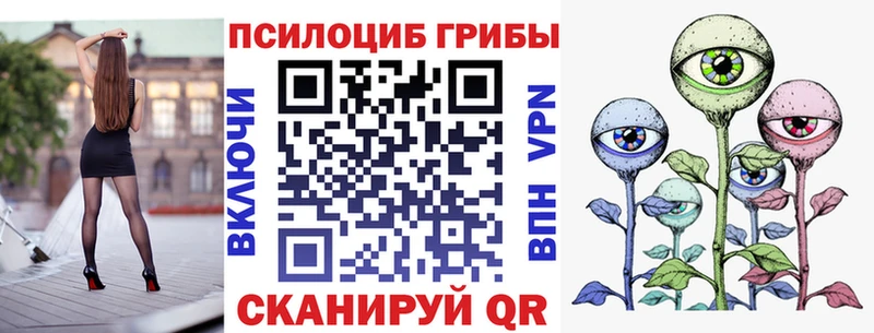 где можно купить наркотик  Новотроицк  Псилоцибиновые грибы GOLDEN TEACHER 