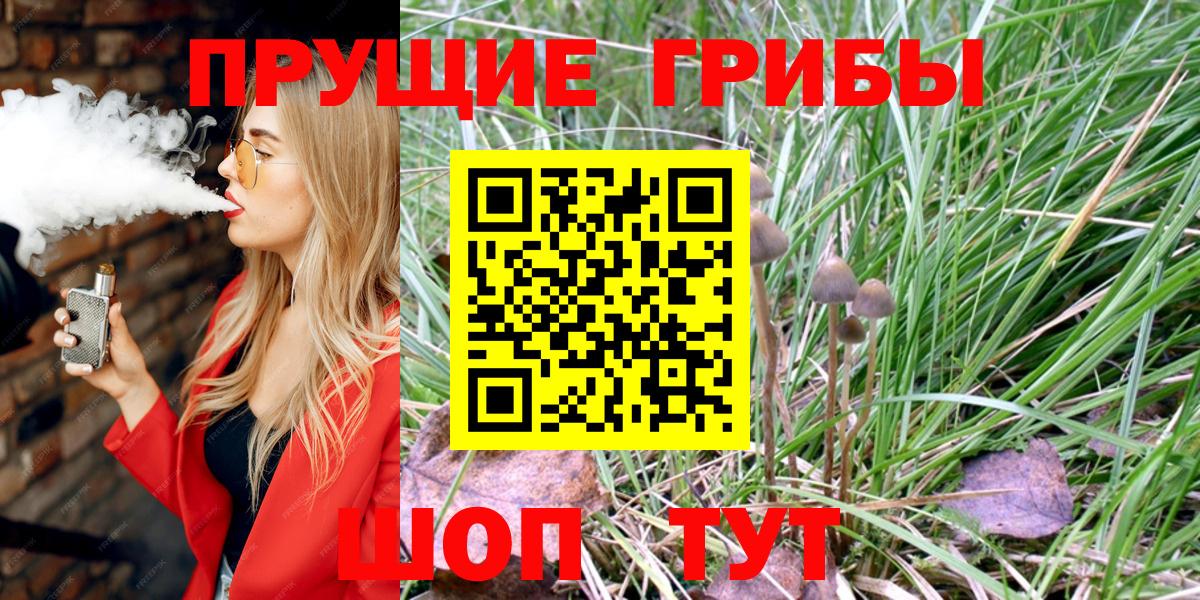 Новотроицк  Галлюциногенные грибы Cubensis  Вход с VPN 